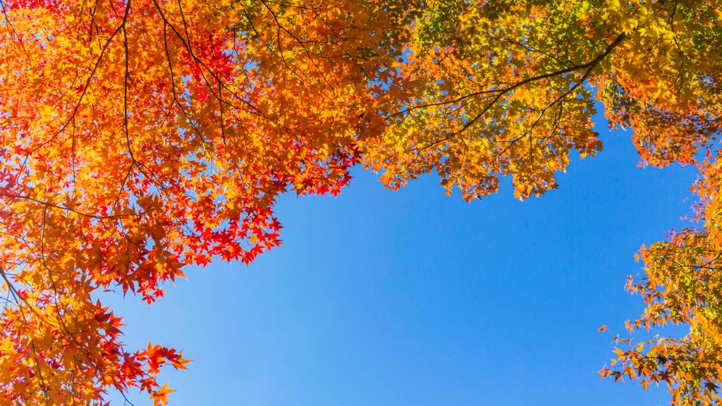 Sunny Friday in Twin Cities with mostly dry Halloween weekend — Edina Community news