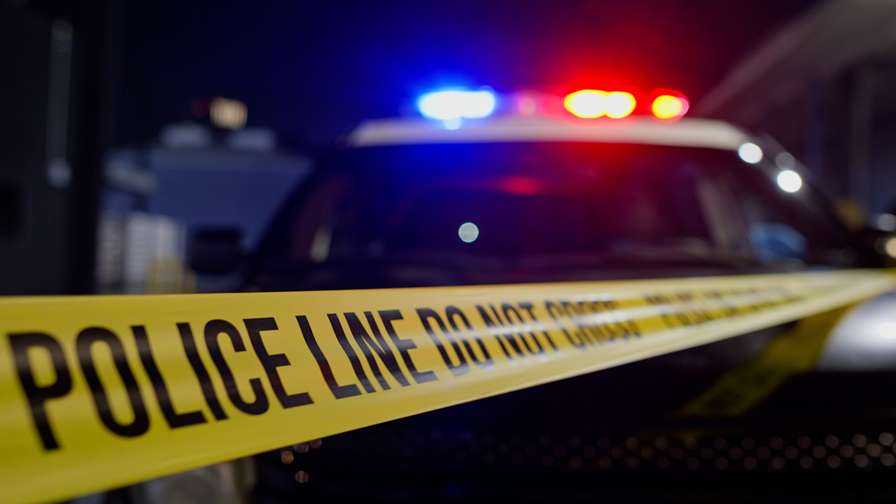 Ohio man indicted in fatal stabbing of teen, sexual assault of another — FOX 9