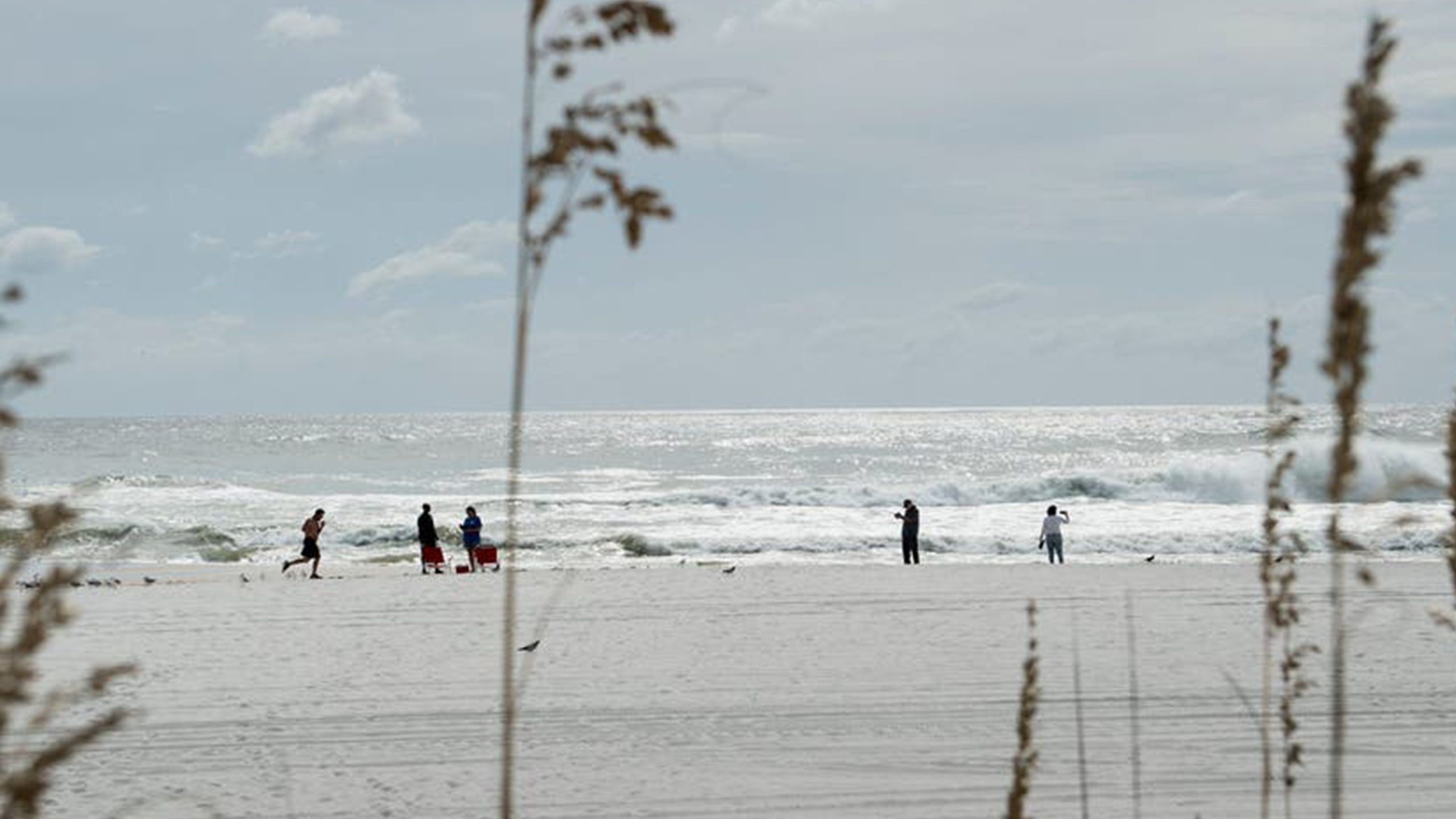 Father of 2 drowns after being caught in current trying to rescue seagull caught in fishing line — FOX 9